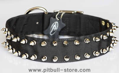 nylon spiked dog collar all dog sizes