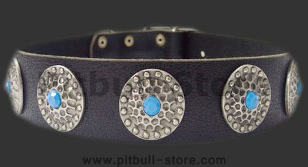 Designer Leather Dog Collar for American Pit Bull Terrier