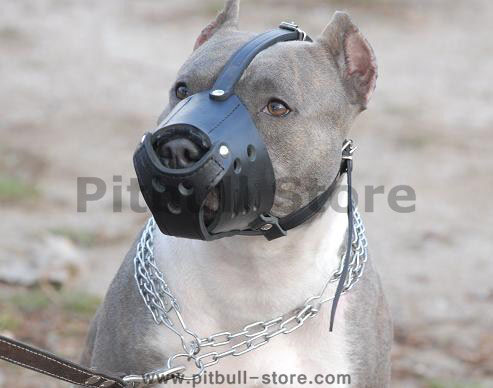 http://www.pitbull-store.com/images/large/pitbull-muzzle-leather-dog-dog1_LRG.jpg