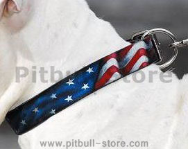 usa leather dog collar for pitbull