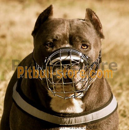 Pitbull Wire Basket Dog Muzzle