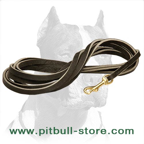 Handcrafted Leather Dog Leash