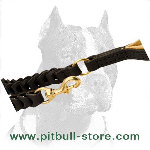 Good Leash with Strong and Luxury Brass fittings