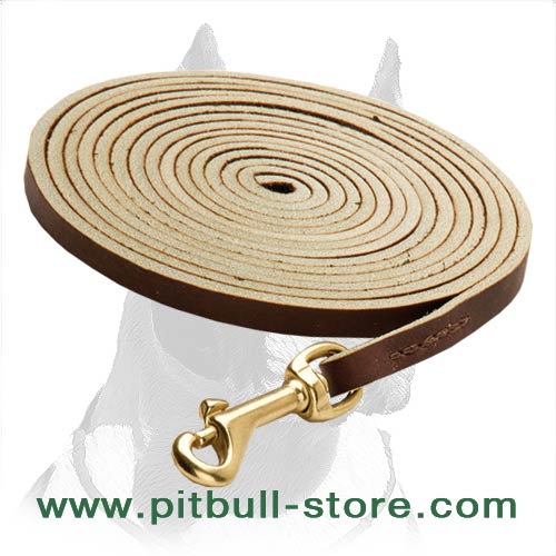 Good Leash with Sturdy brass snap hook