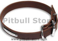 Leather collar with name tag - id tag - c456