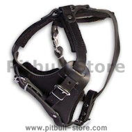 Looking for Leather Agitation Harness for Pitbull