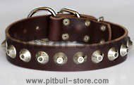 Gorgeous Wide Leather Dog Collar - Brown