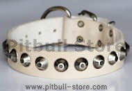 Gorgeous Wide Leather Dog Collar