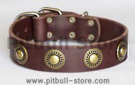 Leather Dog Collar with silver conchos