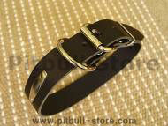 Leather dog collar with id tag