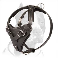 Leather dog harness for walking,tracking,pulling,training and more..
