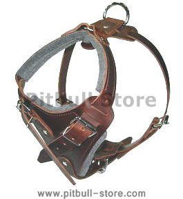 Leather dog harness for walking,tracking,pulling,training and more..