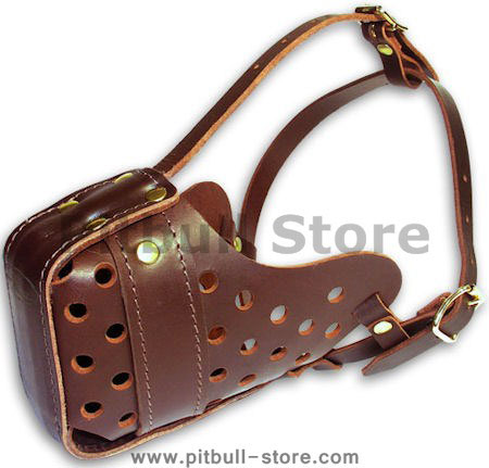Pitbull Leather Dog Muzzle