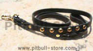 Studded leather dog leash for walking and tracking