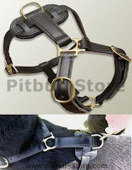 Easy of Use Leather tracking harnesses for Pitbull