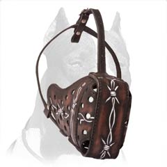 Health protecting leather muzzle