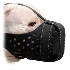 Perfect looking leather muzzle