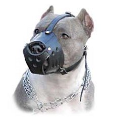 Free air flow muzzle for Pitbull
