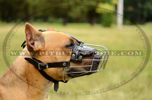 Pitbull Dog Muzzle Super ventilated with pad small