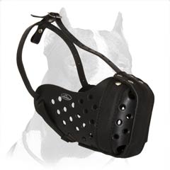 Pitbull leather muzzle with steel bar
