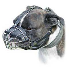 No biting wire cage Pitbull muzzle