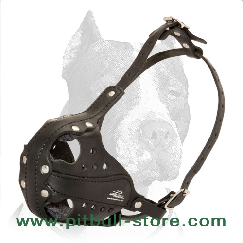 Pitbull leather muzzle handcrafted