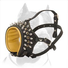 Pitbull spiked and studded muzzle