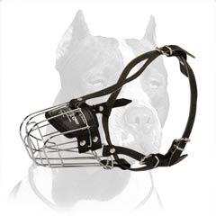 Wire basket Pitbull muzzle