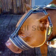 Pitbull Terrier Royal Nappa Leather Dog Muzzle Pitbull Terrier Royal Nappa Leather Dog Muzzle