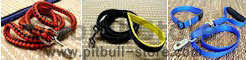 Nylon leashes