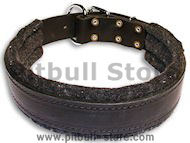 Leather dog collar padded with thick felt