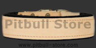 1.5 inch width PADDED LEATHER DOG COLLAR 3.8 cm width Collar