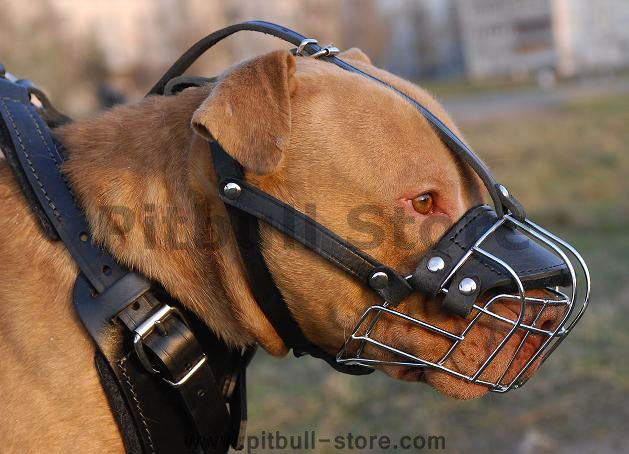 pitbull wire basket muzzle