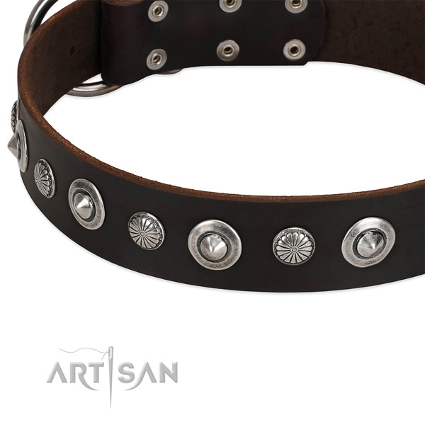Amazing decorated dog collar of reliable full grain genuine leather