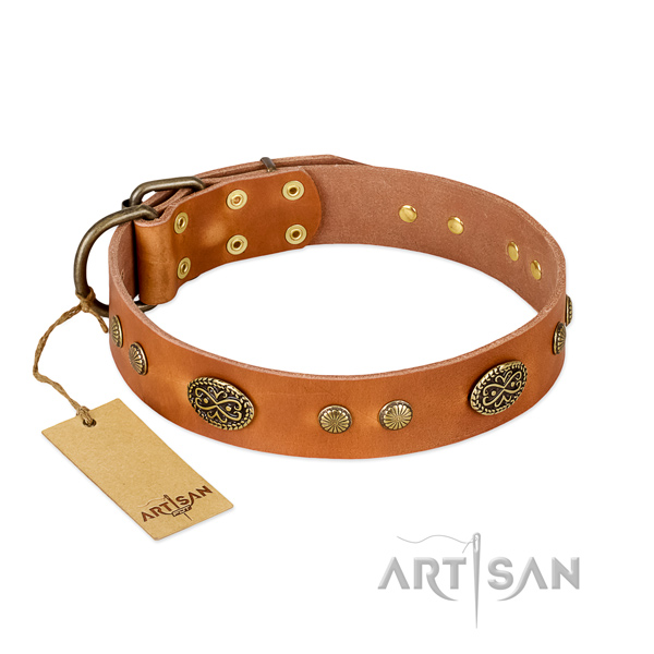 Corrosion resistant adornments on Genuine leather dog collar for your four-legged friend