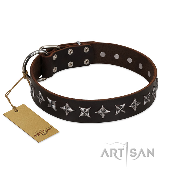 Stylish walking dog collar of high quality full grain leather with decorations