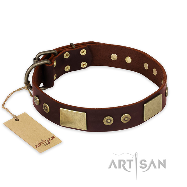 Unusual full grain leather dog collar for handy use