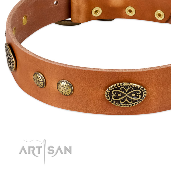 Rust-proof traditional buckle on leather dog collar for your canine