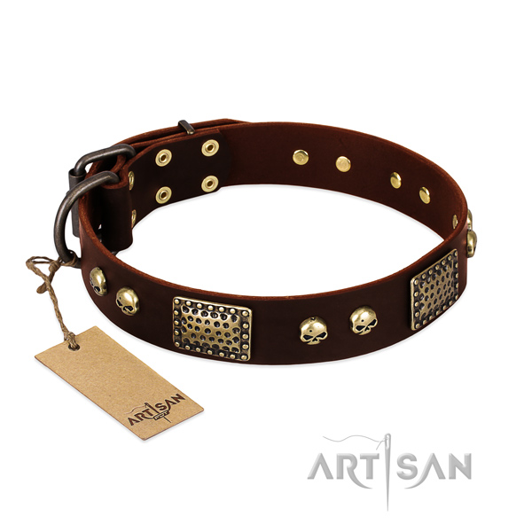 Adjustable genuine leather dog collar for basic training your canine