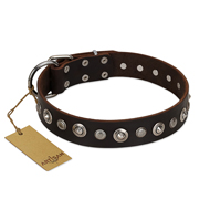 "Gorgeous Shields" FDT Artisan Brown Leather Pitbull Collar with Old Silver-like Circles and Small Camomiles "Gorgeous Shields" FDT Artisan Brown Leather Pitbull Collar with Old Silver-like Circles and Small Camomiles