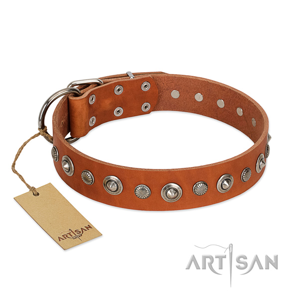 Durable full grain leather dog collar with trendy decorations