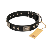 "Pirates Gold" FDT Artisan Black Leather Pitbull Collar with Old Silver Look Plates and Skulls "Pirates Gold" FDT Artisan Black Leather Pitbull Collar with Old Silver Look Plates and Skulls