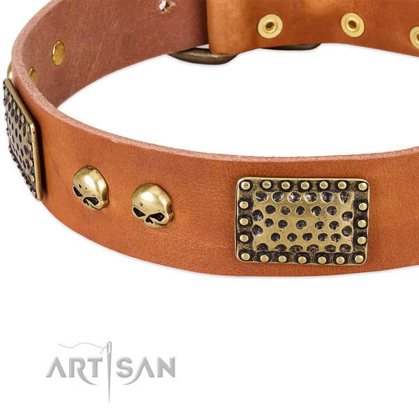 Rust resistant traditional buckle on natural leather dog collar for your canine