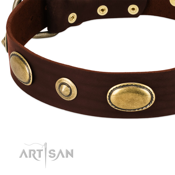 Strong adornments on full grain genuine leather dog collar for your doggie