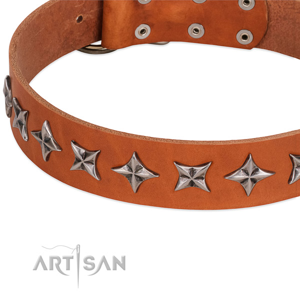 Everyday walking studded dog collar of durable full grain leather