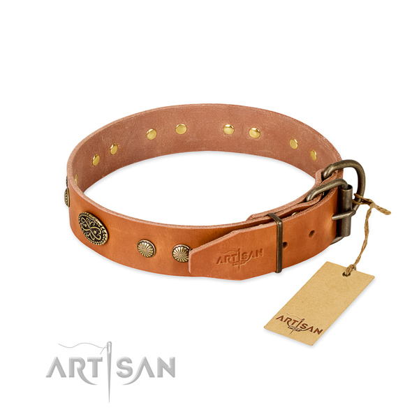 Rust-proof traditional buckle on full grain genuine leather dog collar for your canine