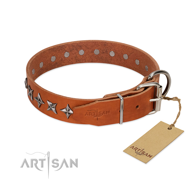Everyday walking decorated dog collar of best quality natural leather