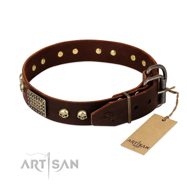 Corrosion proof studs on comfortable wearing dog collar