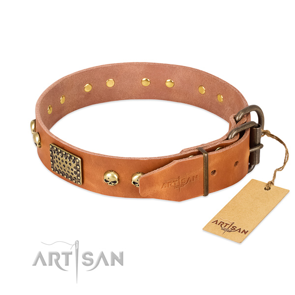 Reliable hardware on daily walking dog collar