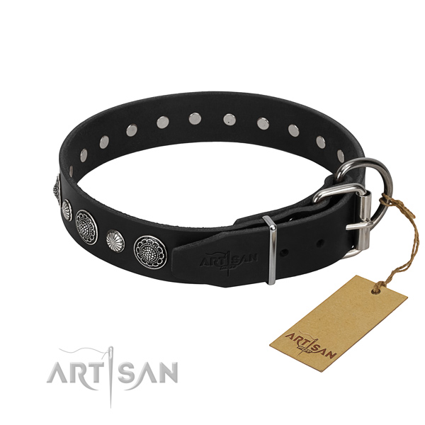 Best quality leather dog collar with remarkable studs